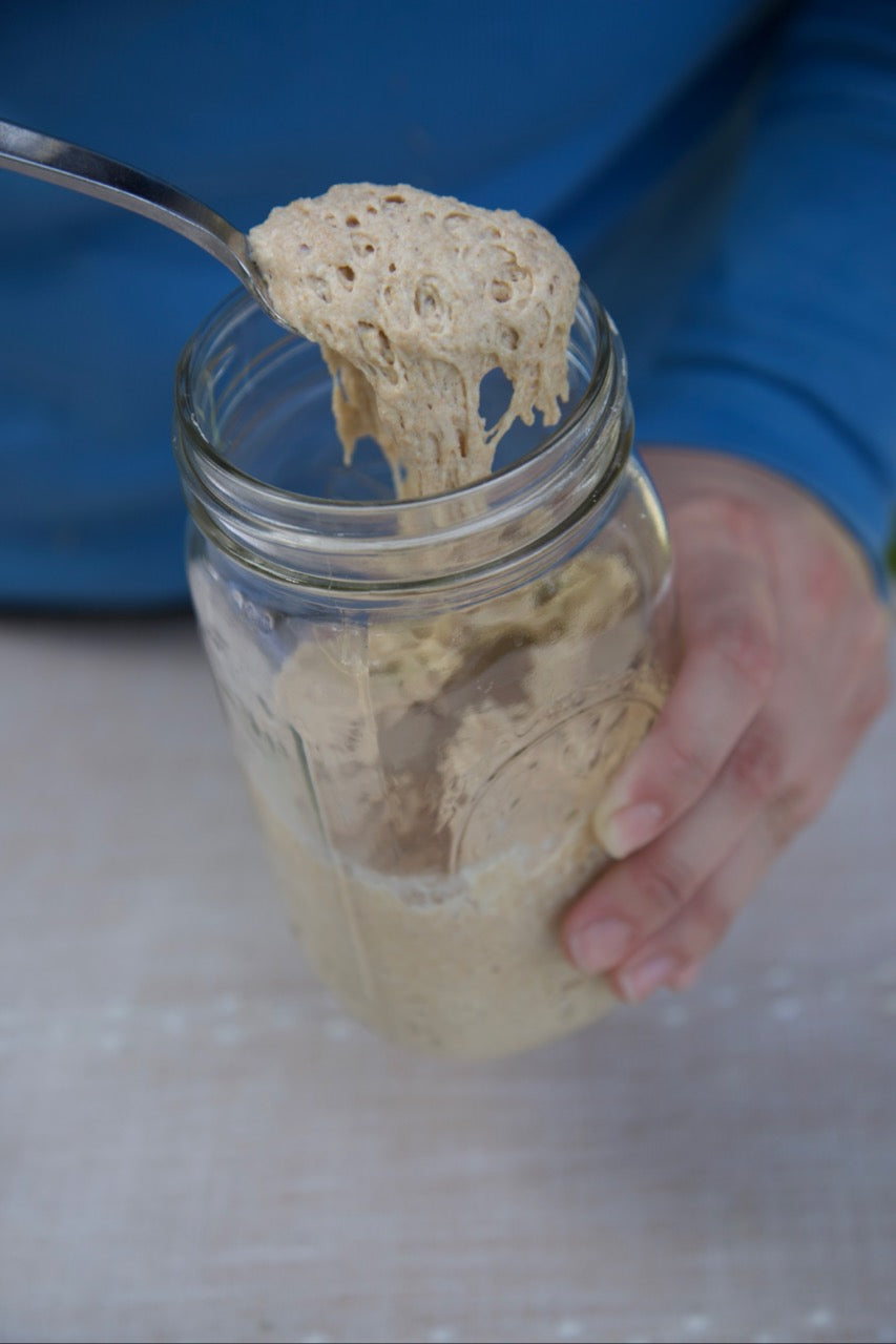 Sourdough Starter
